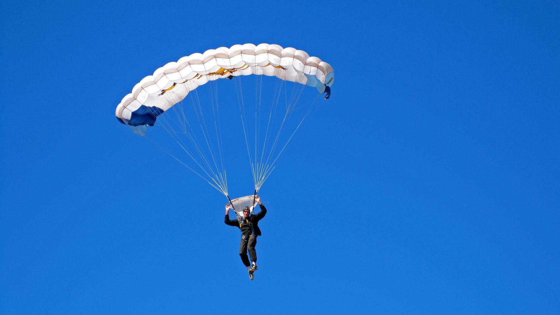  无人知晓在南方的毛豆 